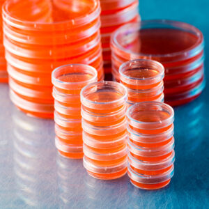 Microbiology and pathology