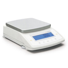 Precision balances