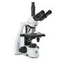Microscopio Trinocular  BS.1153-PLi thumbnail