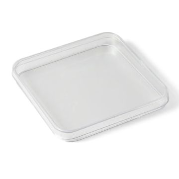 Placa Petri cuadrada 120x120 mm 240 unidades