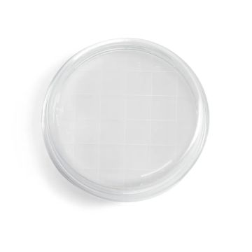 Placa de contacto Rodac