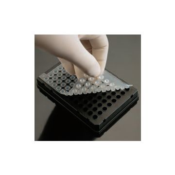 Alfombrilla selladora para placas PCR 50 unidades