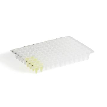 96-Well Low-Profile Polypropylene Plate RNase DNase-Free 200 µL