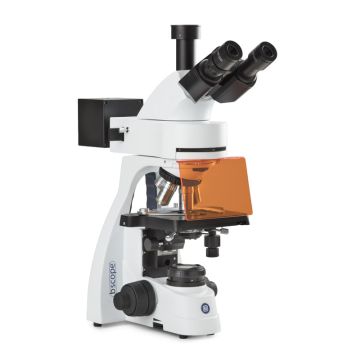Microscopio Trinocular  BS.3153-PLFi