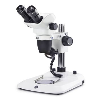 Microscopio Binocular  NZ.1702-P