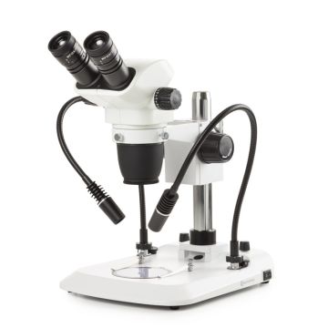 Microscopio Binocular  NZ.1702-PG