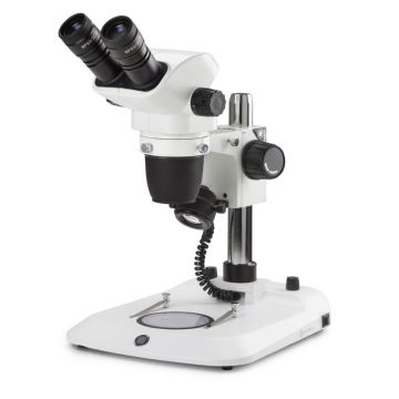 Microscopio Binocular  NZ.1902-P