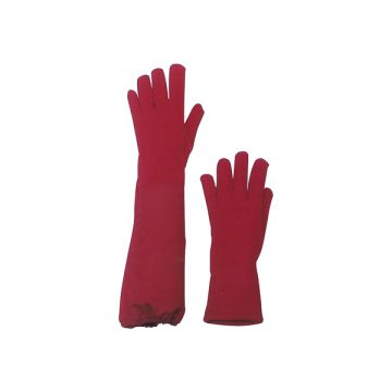 Autoclave gloves