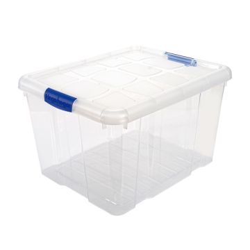https://labbox.es/wp-content/uploads/2024/09/STBO-294-001.jpg