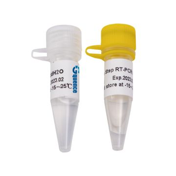 https://labbox.es/wp-content/uploads/2024/10/TAQP-LT1-001-1.jpg