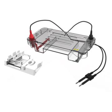 https://labbox.es/wp-content/uploads/2026/02/ELFH-300-001.jpg