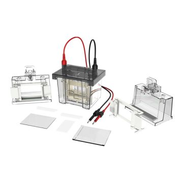 https://labbox.es/wp-content/uploads/2026/02/ELFV-V80-001.jpg