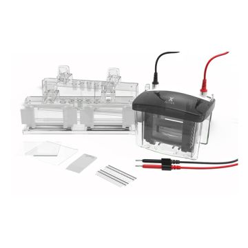 https://labbox.es/wp-content/uploads/2026/02/ELFV-X80-001.jpg