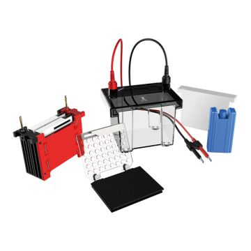 https://labbox.es/wp-content/uploads/2026/02/ELFT-T90-001.jpg